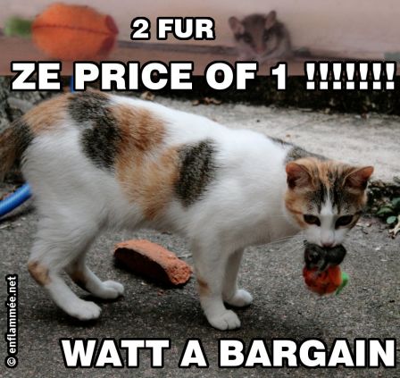 2 fur ze price of 1 !!!!!!!!! watt a bargain !!!!