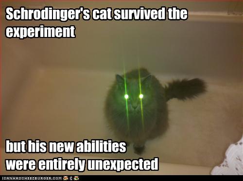 Schrodinger's cat survived the experiment ... but his new abilities were entirely unexpected